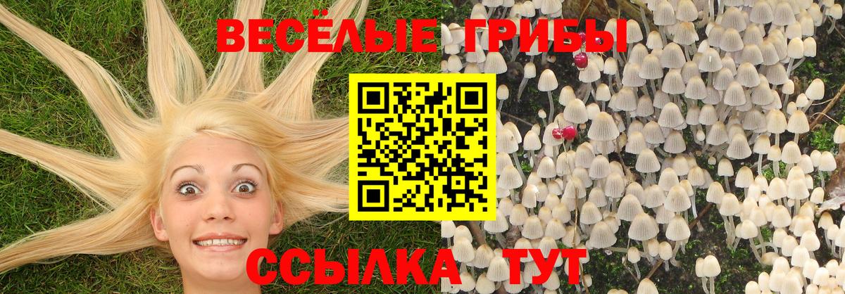 Псилоцибиновые грибы Psilocybine cubensis  Галлюциногенные грибы мухоморы  наркотики  Вход с VPN  Вязники 